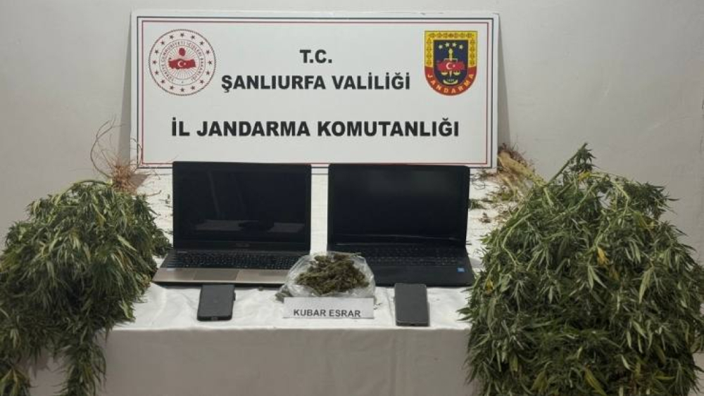 Akçakale’de Jandarmadan Uyuşturucu Operasyonu